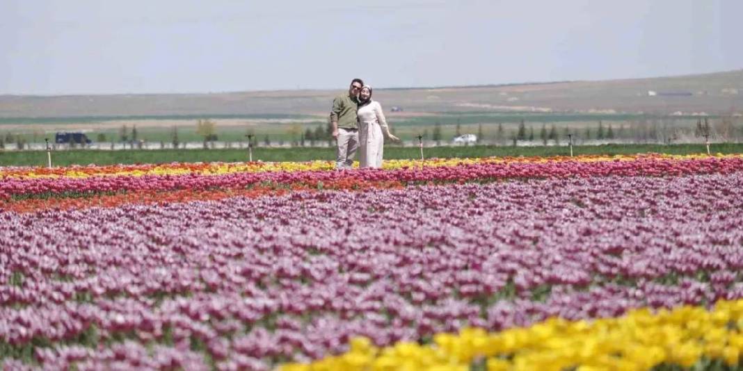 Akın akın Karaman'a gittiler: 2 günde ziyaretçi sayısı 30.000’e ulaştı 5